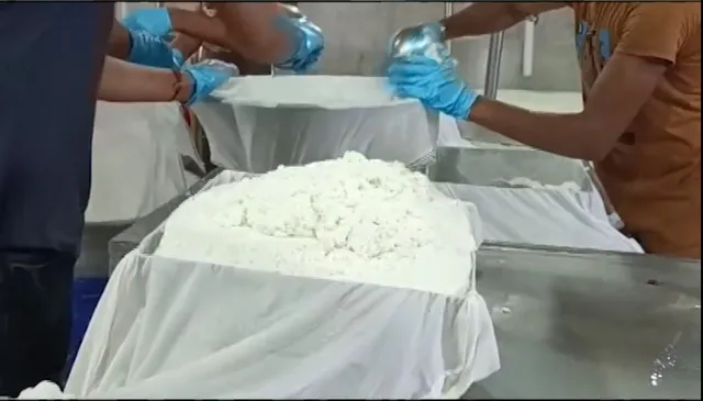 ଦୁଇ ବନ୍ଧୁଙ୍କ ପନିର ବ୍ୟବସାୟ । ଇଞ୍ଜିନିୟରିଂ ଚାକିରି ଛାଡ଼ି ନିଜ ଗାଁରେ ପନିର କାରଖାନା କରିଛନ୍ତି ଜଳେଶ୍ୱରର ସଞ୍ଜୟ ଏବଂ କେଶବ