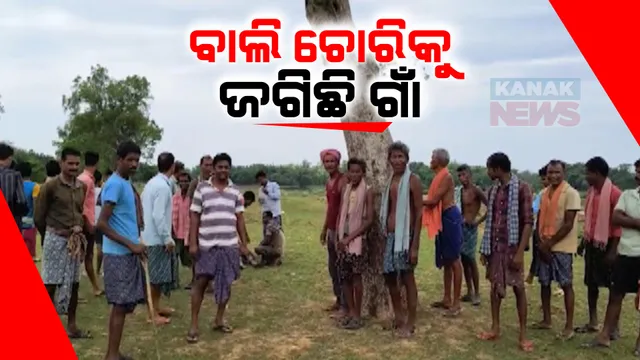ନୀଳଗିରିରେ ଦିନ ଦ୍ୱିପ୍ରହରରେ ସୋନ ନଦୀ ପଠାରୁ ବାଲି ଉଠାଉଛନ୍ତି ମାଫିଆ । ଅଭିଯୋଗ ପରେ ବି ଚୁପ୍ ବସିଛି ପ୍ରସଶାନ, ପାଳି କରି ଘାଟ ଜଗୁଛନ୍ତି ଗ୍ରାମବାସୀ