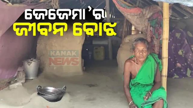 ବୟସର ଅପରାହ୍ନରେ ଜୀବନ ସହ ସଂଘର୍ଷ । ଅସହାୟ ଦୁଇ ପିଲାଙ୍କ ଦାୟିତ୍ୱ ମୁଣ୍ଡାଇଛନ୍ତି ବୃଦ୍ଧା