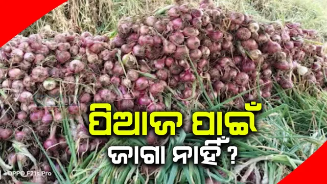 ଅମଳ ପିଆଜ ରଖିବାକୁ ଜାଗା ନାହିଁ । ଚିନ୍ତାରେ କଳାହାଣ୍ଡି କୋକସରା ବ୍ଳକର ପିଆଜ ଚାଷୀ, ସଂରକ୍ଷଣ ବ୍ୟବସ୍ଥା ନଥିବାରୁ ଶାଗମାଛ ଦରରେ ବିକୁଛନ୍ତି ପିଆଜ