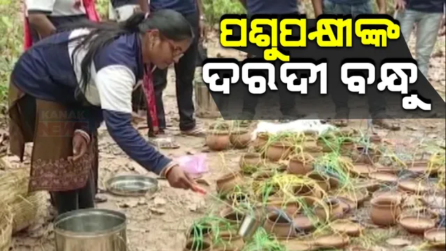 ଗ୍ରୀଷ୍ମ ପ୍ରବାହରୁ ପଶୁପକ୍ଷୀଙ୍କୁ ରକ୍ଷା କରିବା ପାଇଁ ସ୍ୱେଚ୍ଛାସେବୀ ସଂଗଠନର ନିଆରା ପ୍ରୟାସ । ଖୁଂଟା ଜଙ୍ଗଲରେ ଖାଦ୍ୟ ଓ ପାନୀୟ ବ୍ୟବସ୍ଥା କରିଛନ୍ତି କର୍ମଚାରୀ