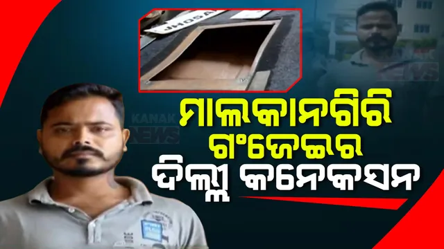 ମାଲକାନଗିରି ଗଞ୍ଜେଇର ଦିଲ୍ଲୀ କନେକସନ । ରିମାଣ୍ଡରେ ଆସି ଗୁମର ଖୋଲିଛି ଗଞ୍ଜେଇ ମାଫିଆ ।