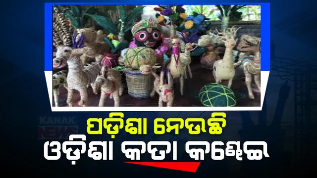 ମହିଳାଙ୍କ ପାଇଁ ପ୍ରେରଣା ପାଲଟିଛନ୍ତି ସାଲେପୁର ଅଂଚଳର ଶିବାନୀ । ସ୍ୱୟଂ ସହାୟକ ଗୋଷ୍ଠୀ ଗଠନ କରି ନଡ଼ିଆ କତାରେ ତିଆରି କରୁଛନ୍ତି ବିଭିନ୍ନ ପ୍ରକାର ସାମଗ୍ରୀ