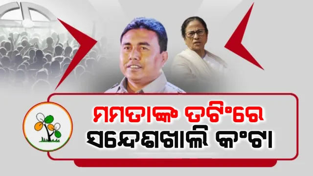 ସନ୍ଦେଶଖାଲି ସିବିଆଇ ଚଢ଼ାଉକୁ ଟିଏମସିର ବିରୋଧ । ଇସିଙ୍କ ନିକଟରେ ଫେରାଦ, ବିଜେପିର ଅଭିଯୋଗ ଦଳ କରୁଛି ରାଷ୍ଟ୍ରବିରୋଧୀ କାର୍ଯ୍ୟକଳାପ