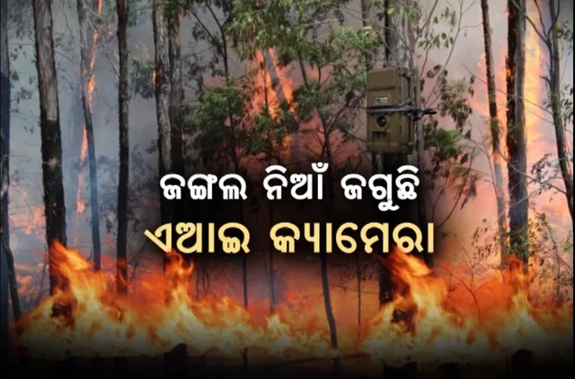 ଜଙ୍ଗଲ ନିଆଁ ରୋକିବା ପାଇଁ ବଡ଼ ଯୋଜନା । ଶିମିଳିପାଳରେ ଜଗିଛି ଏଆଇ କ୍ୟାମେରା, ଧୁଆଁ ବାହାରିଲେ କରାଉଛି ସତର୍କ