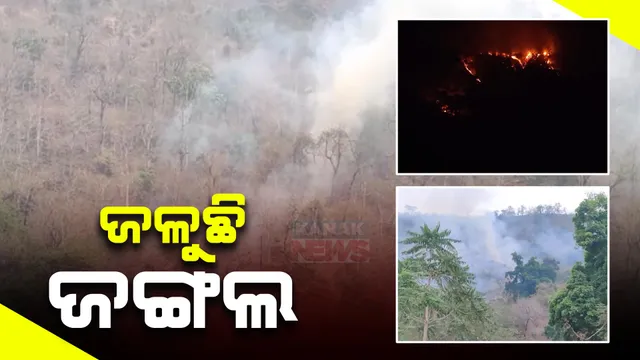 ଭୟଙ୍କର ହେଉଛି ରାଜ୍ୟରେ ଜଙ୍ଗଲ ନିଆଁ । ମୂଲ୍ୟବାନ ଜଙ୍ଗଲଜାତ ଦ୍ରବ ନଷ୍ଟ ସହ ପୋଡି ପାଉଁଶ ବଡ ବଡ ଗଛ