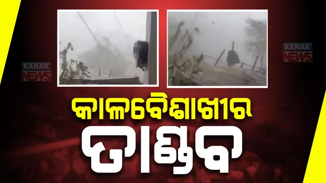 ଗଞ୍ଜାମ ପୁରୁଷୋତମପୁରରେ କାଳବୈଶାଖୀର ତାଣ୍ଡବ । ଉପୁଡ଼ି ପଡ଼ିଲା ଗଛ, ଉଡ଼ିଗଲା ଛପର
