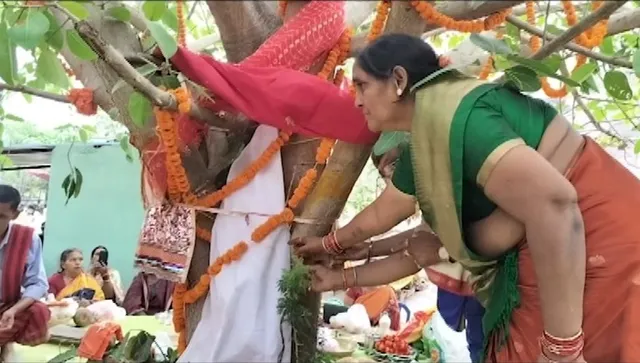 ଗଛ ସହ ଗଛର ବାହାଘର । ବୈଦିକ ରୀତିନୀତିରେ ବିବାହ କଲେ ବର ଗଛ, ଓସ୍ତ ଗଛ ।