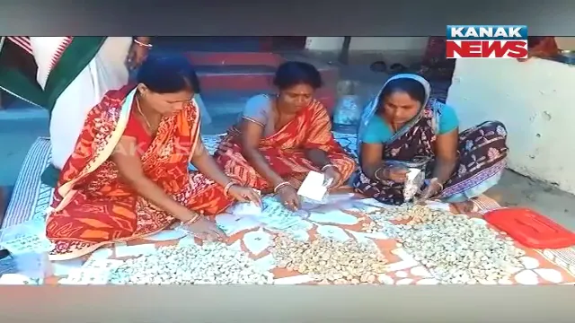 ବିରିବଡ଼ିରୁ ଭଲ ରୋଜଗାର । ପାଣି କଖାରୁ ଓ ବିରିରେ ବଡ଼ି ପ୍ରସ୍ତୁତ କରୁଛନ୍ତି ସ୍ୱଂୟ ସହାୟକ ଗୋଷ୍ଠୀର ସଦସ୍ୟା