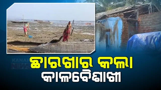 ପ୍ରବଳ ଗ୍ରୀଷ୍ମପ୍ରବାହ ଭିତରେ କାଳବୈଶାଖୀ ତାଣ୍ଡବ । କୃଷ୍ଣପ୍ରସାଦ ଅଞ୍ଚଳରେ ବର୍ଷା ପବନରେ ଭାଙ୍ଗିଲା ଘରଦ୍ୱାର, ୫ ଜଣ ଗୁରୁତର ।