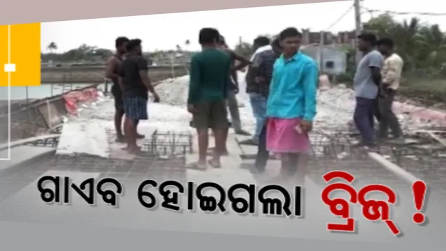 ରାଜନଗରରେ ଛାତ ପଡୁଥିବା ବେଳେ ଭୁସୁଡିପଡିଲା ନିର୍ମାଣଧିନ ପୋଲ । ପୋଲର ନିମ୍ନମାନ କାମକୁ ନେଇ ସ୍ଥାନୀୟ ଲୋକଙ୍କ ପ୍ରଶ୍ନ ।