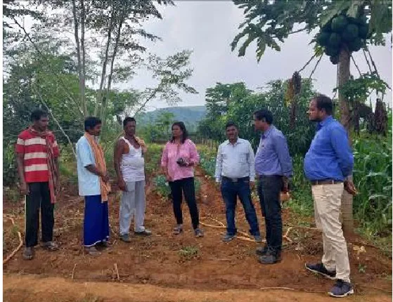 ରାୟଗଡାର ଚାଷୀଙ୍କୁ ବଳ ଦେଉଛି ଆଦିତ୍ୟ ବିର୍ଲା ଗ୍ରୁପର ପ୍ରୋଜେକ୍ଟ ୱାଡି । ଉପକୃତ ହେଉଛନ୍ତି ଶହ ଶହ ଚାଷୀ