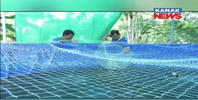 ବାୟୋଫ୍ଲକ ପଦ୍ଧତିରେ ମାଛ ଚାଷ କରି ଲାଭବାନ । ଘରୋଇ କମ୍ପାନୀ ଚାକିରି ଛାଡ଼ି ମାଛ ଚାଷ କରୁଛନ୍ତି ନୟାଗଡ଼ର ମିଥୁନ ମିଶ୍ର ।