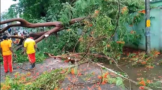 ଭଞ୍ଜନଗରରେ କାଳବୈଶାଖୀ ତାଣ୍ଡବ । ଉପୁଡିଗଲା ମହାଦ୍ରୁମ । ବିଦ୍ୟୁତ ସେବା ବ୍ୟାହତ ।  ହସିଲା ଫସଲ ନଷ୍ଟ ।