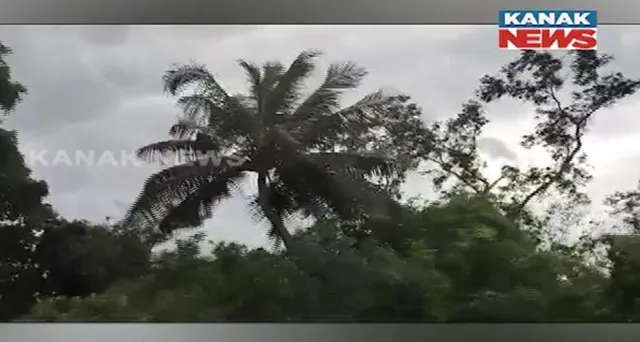 ରାଜ୍ୟରେ ବାତ୍ୟାର ପ୍ରଭାବ, ଉପକୂଳବର୍ତ୍ତୀ ଅଞ୍ଚଳରେ ଆରମ୍ଭ ହେଲାଣି ବର୍ଷା, ପବନ ।