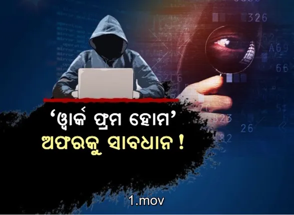 ସାଇବର ଠକେଇର ନୂଆ ତରିକା ‘ୱାର୍କ ଫ୍ରମ ହୋମ’କୁ ସାବଧାନ । ୪ ଦିନରେ ୫୪ ଲକ୍ଷ ହରାଇଲେ ମୁମ୍ବାଇର ଜଣେ ମହିଳା । କମ ପରିଶ୍ରମରେ ଅଧିକ ଲାଭ ମିଳୁଥିବା କାମ ପ୍ରତି ଅଧିକ ସତର୍କ ରହିବାକୁ ପରାମର୍ଶ ।