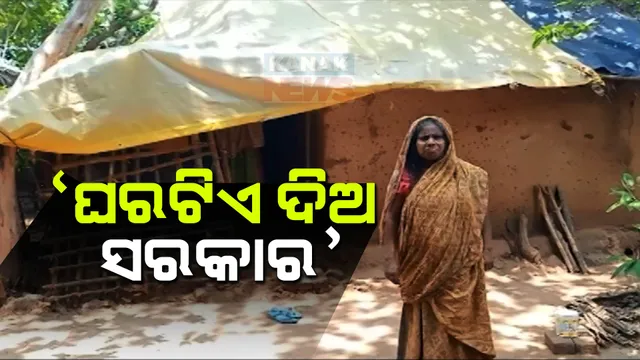 ମୁଣ୍ଡ ଉପରେ ନାହିଁ ଛାତ,ପାଖରେ ନାହାନ୍ତି ପରିବାର ସଦସ୍ୟ ଘରଟିଏ ପାଇଁ ସରକାରଙ୍କ ପାଖରେ ବାରମ୍ବାର ଗୁହାରି କରୁଛନ୍ତି କାଲିମେଳାର ୬୫ବର୍ଷିୟ ବୃଦ୍ଧା ।