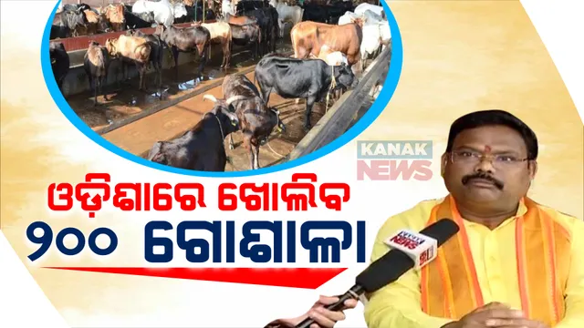 ରାଜ୍ୟରେ ଖୋଲିବ ୨୦୦ ଗୋଶାଳା । ଗୋଚାଲାଣ କଲେ ନିଆଯିବ କଡା କାର୍ଯ୍ୟାନୁଷ୍ଠାନ । ମତ୍ସ୍ୟ ଓ ପଶୁ ସମ୍ପଦକୁ ନେଇ କଣ ରହିଛି ରୋଡମ୍ୟାପ, ସୂଚନା ଦେଲେ ମନ୍ତ୍ରୀ ।