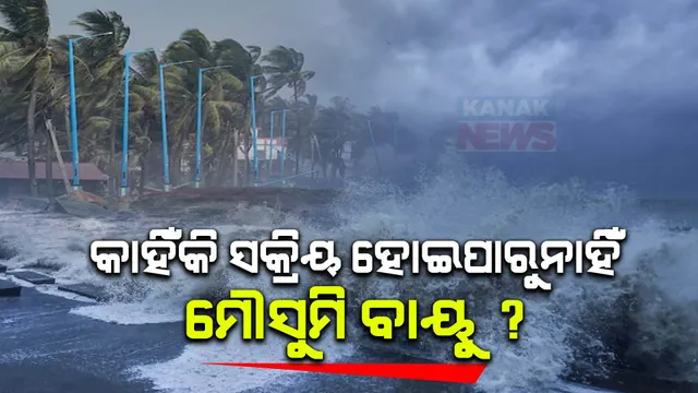 କାହିଁକି ସକ୍ରିୟ ହୋଇପାରୁନି ମୌସୁମୀ ବାୟୁ? କଣ କହିଲେ ପାଣିପାଗ ବିଜ୍ଞାନୀ ଜାଣନ୍ତୁ ।