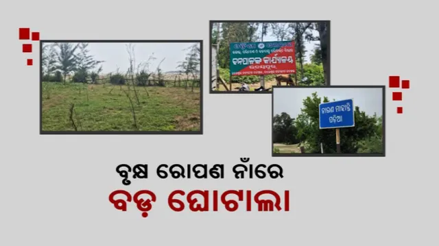 ବୃକ୍ଷ ରୋପଣ ନାଁ ବଡ଼ ଘୋଟାଲା । ଫଳକରେ ଥିବା ତଥ୍ୟର ଫିଟିଲା ଗୁମର । ବନୀକରଣ ଆଳରେ ଲକ୍ଷଲକ୍ଷ ଟଙ୍କା ଆତ୍ମସାତ ଅଭିଯୋଗ ।