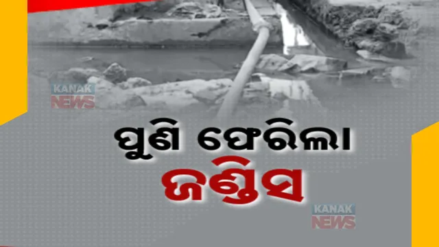 ସମ୍ୱଲପୁରରେ ଜଣ୍ଡିସ୍ ଆତଙ୍କ । ପଡାରୁ ପଡାକୁ ମାଡୁଛି କାମଳ ରୋଗ । ବଢୁଛି ଆକ୍ରାନ୍ତଙ୍କ ସଂଖ୍ୟା...