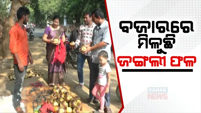 ସୁବର୍ଣ୍ଣପୁରରେ ଫଳ ମୂଳ କିଣିବାକୁ ଫଳ ଦୋକାନ ଗୁଡିକରେ ଲାଗିଛି ଭିଡ ,ବିଭିନ୍ନ ଜଙ୍ଗଲଜାତ ଦ୍ରବ୍ୟର ଲାଗିଛି ଭଳିକି ଭଳି ପସରା ।