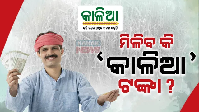 ପିଏମ କିଷାନ ଟଙ୍କା ଚାଷୀଙ୍କ ଖାତାକୁ ଆସିଲା, କାଳିଆ ଟଙ୍କା ମିଳିବ କି ନାହିଁ ବଢିଲା ଦ୍ୱନ୍ଦ୍ୱ । 
