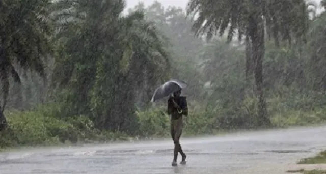 ଓଡିଶା ଛୁଇଁଲା ମୌସୁମୀ । ପ୍ରଭାବରେ ମାଲକାନଗିରିରେ ପ୍ରବଳ ବର୍ଷା ।