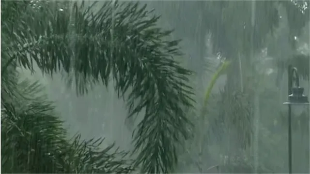 ଗରମ, ଗୁଳୁଗୁଳିରୁ ଆଶ୍ୱସ୍ତି: ଭୁବନେଶ୍ୱରରେ ପ୍ରବଳ ବର୍ଷା