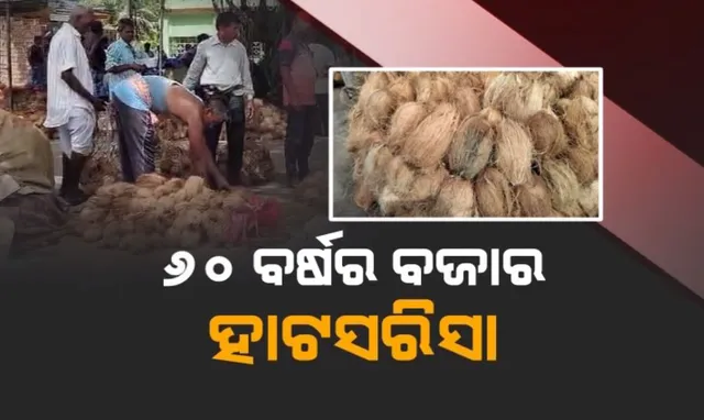 ୬୦ ବର୍ଷର ନଡ଼ିଆ ବଜାର ଭୋଗରାଇର ହାଟସରିଷା: ସପ୍ତାହକୁ ଦୁଇ ଦିନ ବସିଥାଏ ହାଟ, ରାଜ୍ୟ ତଥା ରାଜ୍ୟ ବାହାରକୁ ହୁଏ ରପ୍ତାନୀ