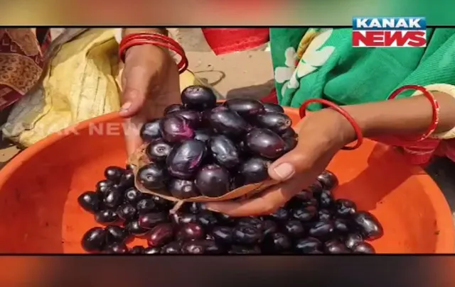 ମହାରାଷ୍ଟ୍ରର ନାଗପୁର ଯାଉଛି ନବରଙ୍ଗପୁରର ଜାମୁକୋଳି: ନିଆରା ସ୍ୱାଦ ଓ ଔଷଧିୟ ଗୁଣ ପାଇଁ କୋଳିର ରହିଛି ଚାହିଦା