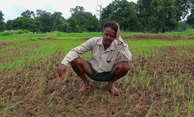 ଜୁନ୍ ୧ରୁ ୩୦ ପର୍ଯ୍ୟନ୍ତ ରାଜ୍ୟରେ ନିଅଣ୍ଟିିଆ ବର୍ଷା । ୧୭ ଜିଲ୍ଲାରେ ଆବଶ୍ୟକତା ଠାରୁ କମ୍ ବର୍ଷା ରେକର୍ଡ । ମୟୂରଭଞ୍ଜରେ ୬୭ ପ୍ରତିଶତ କମ୍ ବର୍ଷା  ।