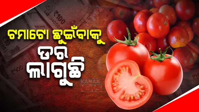 ଶ୍ରାବଣରେ ଆକାଶ ଛୁଆଁ ଟମାଟୋ ଦର ;  ୧୦୦ ଟଙ୍କା ପାର ହୋଇଛି ମୂଲ୍ୟ 