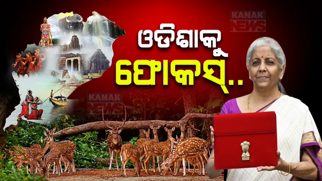 ବଜେଟରେ ଓଡିଶାକୁ ଗୁରୁତ୍ୱ ; ବନ୍ୟପ୍ରାଣୀ ଓ ବେଳାଭୂମିର ବିକାଶ ପାଇଁ ମିଳିବ ଆର୍ଥିକ ସହାୟତା