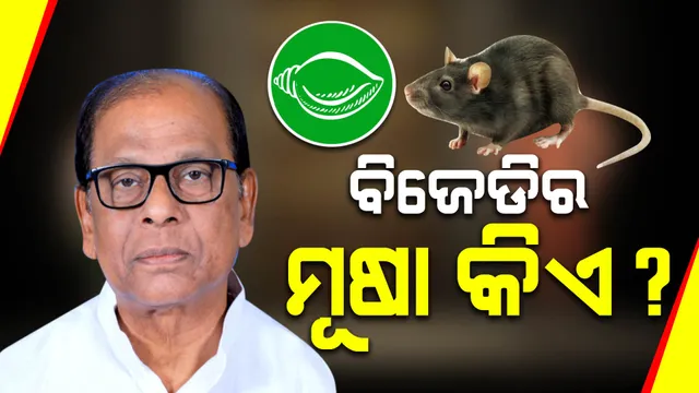 ବିଜେଡିର ପରାଜୟ ନେଇ ବିସ୍ଫୋରକ ବୟାନ ଦେଲେ ନୃସିଂହ ସାହୁ । କହିଲେ, ବିଜେଡିକୁ ହରାଇଛି ବିଜେଡି । କାଳ ହେଲା ଓଭର କନଫିଡେନ୍ସ...