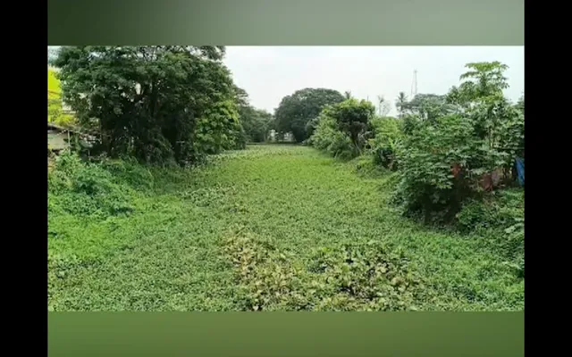 ବର୍ଷା ଦିନରେ ଆସିକାରେ ବନ୍ୟା ପରିସ୍ଥିିତି । ଦୁଃଖ ପାଲଟିଛି ଟିପିସର ନାଳ । ନାଳ ସଫେଇ ପାଇଁ ଲକ୍ଷାଧିକ ଟଙ୍କାର ବଜେଟ କରି ଚଳୁ କରିଦେଇଥିବା ଅଭିଯୋଗ