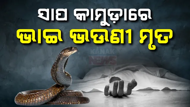 ସାପ ନେଲା ଭାଇ ଭଉଣୀଙ୍କ ଜୀବନ ; ଶୋଇଥିବା ସମୟରେ ସାପ କାମୁଡାରେ ଚାଲିଗଲା ପ୍ରାଣ, ବଲାଙ୍ଗୀର ସଇଁତଲାର ଘଟଣା