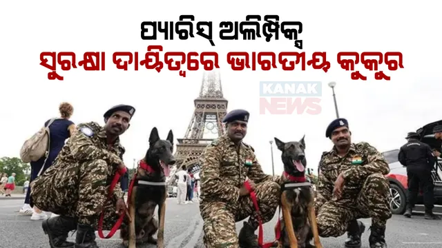 ପ୍ୟାରିସ ଅଲିମ୍ପିକ୍ସ ସୁରକ୍ଷା ବ୍ୟବସ୍ଥାରେ ନିୟୋଜିତ ହେବେ ସୁରକ୍ଷାକାରୀ ଭାରତୀୟ କେ-୯ କୁକୁର ଦଳ । ଜାଣନ୍ତୁ ଏହି ପ୍ରଜାତିର କୁକୁରଙ୍କ ସ୍ୱତନ୍ତ୍ରତା