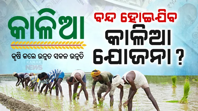 ବନ୍ଦ ହେବ କି କାଳିଆ ଯୋଜନା ? ଦ୍ୱନ୍ଦ୍ୱ ବଢ଼ାଇଲା ବିଧାନସଭାରେ ମନ୍ତ୍ରୀଙ୍କ ଉତ୍ତର