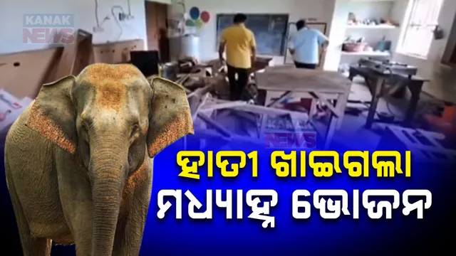 ହାତୀ ଖାଇଗଲା ମଧ୍ୟାହ୍ନ ଭୋଜନ, ଢେଙ୍କାନାଳ ମହାବିରୋଡ଼ ରେଞ୍ଜ ମଝିକା ବିଦ୍ୟାଳୟରେ ପଶି ଚାଉଳ ଖାଇଗଲା ଜଙ୍ଗଲି ହାତୀ ।