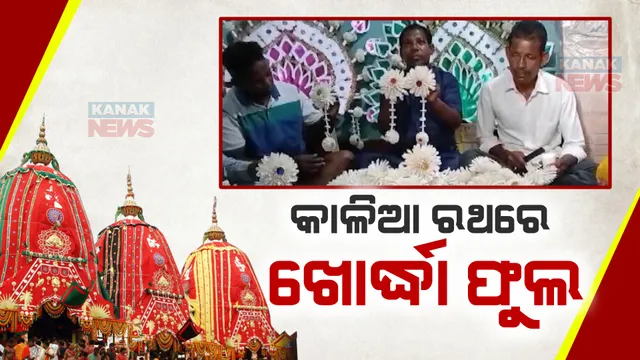 ମହାପ୍ରଭୁଙ୍କ ସେବା ପାଇଁ ସମର୍ପିତ ଖୋର୍ଦ୍ଧା ଗୁରୁଜଙ୍ଗର ଭୋଇ ପରିବାର । ଶ୍ରୀଜିଉଙ୍କ ତିନିରଥକୁ ସୋଲ ଫୁଲରେ ସଜେଇଥାନ୍ତି ଏହି ପରିବାର 