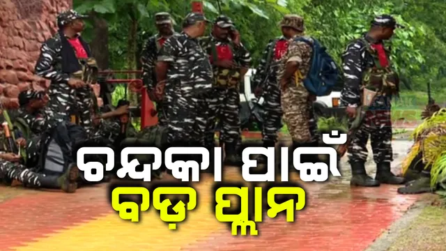 ଚନ୍ଦକାରେ ବନ ବିଭାଗର କୁମ୍ବିଂ ଅପରେସନ୍ ; ଅଭୟାରଣ୍ୟକୁ ଶିକାରୀ ମୁକ୍ତ କରିବାକୁ ବଡ଼ ଆକ୍ସନ ପ୍ଲାନ, ୧୨ ଦିନ ହେବ ମକଡ୍ରିଲ