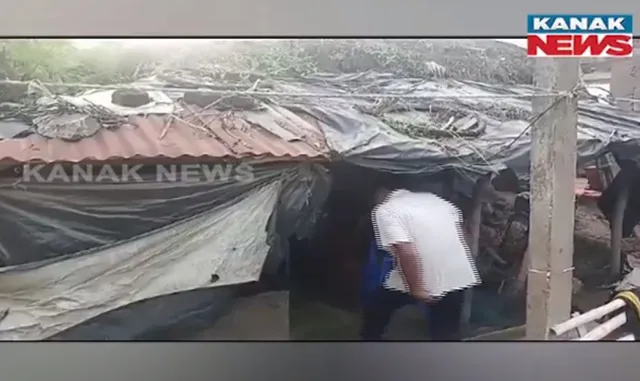 ଭଙ୍ଗା ଦଦରା ଘରେ ପଲିଥିନ ତଳେ ବିତୁଛି ଜୀବନ: ଛପର ଉପରେ ଉଠିଗଲାଣି ଘାସ, ଅସହାୟ ଅବସ୍ଥାରେ ଜୀବନ ଜୀଉଁଛନ୍ତି ବସ୍ତା ଉଜୁଡା କିମୋଥିଙ୍କ ପରିବାର