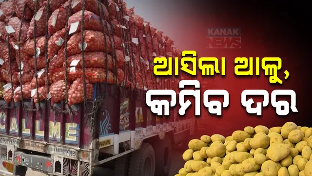 ହଟିଲା ବ୍ୟାରିକେଡ, ଓଡ଼ିଶା ପହଞ୍ଚିଲା ପଶ୍ଚିମବଙ୍ଗ ଆଳୁ; ସ୍ଥିତି ସ୍ୱାଭାବିକ ହେବା ସହ ଆଳୁ ଦର କମିବା ଆଶା