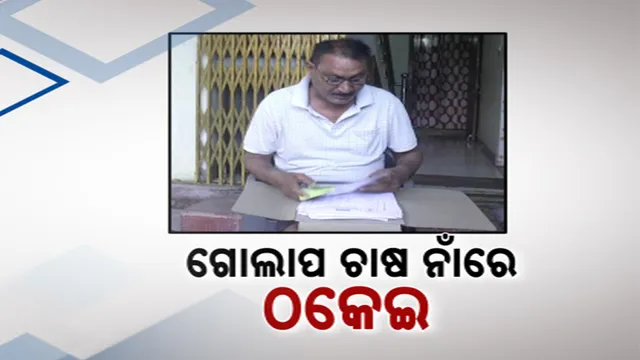 ଉଦ୍ୟାନ କୃଷି ବିଭାଗ ଓ ଠିକା ସଂସ୍ଥା ଆଦ୍ୟାଶକ୍ତି ଆଗ୍ରୋର ମଧୁ ଚନ୍ଦ୍ରିକା; ଗୋଲାପ ଚାଷ ନାଁରେ ଠକିନେଲେ ୨୨ ଲକ୍ଷ