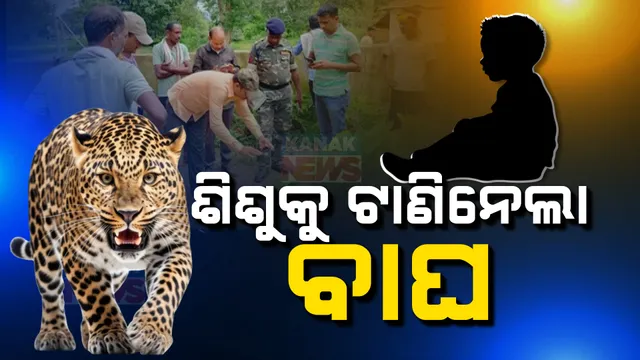 ଘର ପାଖରୁ କୁନି ପୁଅକୁ ଟାଣିନେଲା ବାଘ ; ଆତଙ୍କିତ ଅବସ୍ଥାରେ ଗ୍ରାମବାସୀ