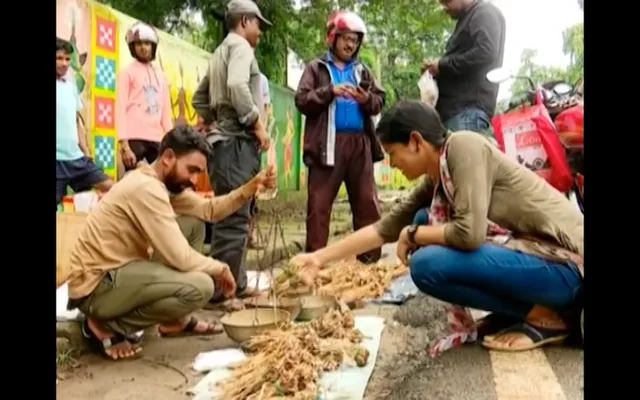 ପ୍ରକୃତି ଦେଉଛି ରୋଜଗାର । ମୌସୁମୀ ବର୍ଷା ପରେ ମାଲକାନାଗିରି ବଜାରରେ ଶ୍ରାବଣ ଛତୁ, କିଲୋପ୍ରତି ୬ଶହ ଟଙ୍କାରେ କିଣୁଛନ୍ତି ଗ୍ରାହକ
