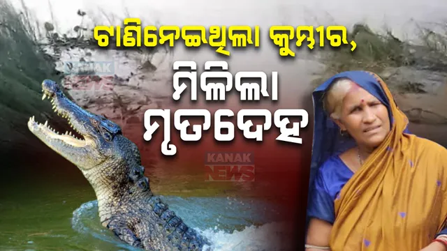 କୁମ୍ଭୀର ଟାଣିନେଇଥିବା ମହିଳାଙ୍କର ମିଳିଲା ମୃତଦେହ ; ଗତକାଲି ନଈକୁ ବାସନ ମାଜିବାକୁ ଯାଇଥିବା ବେଳେ ଟାଣିନେଇଥିଲା କୁମ୍ଭୀର ।