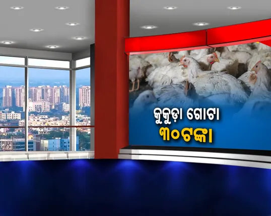 କୁକୁଡା ଗୋଟାକୁ ୩୦ ଟଙ୍କା , ପୁରୀ ପିପିଲିରେ କୁକୁଡା ମଡ଼କ ଯୋଗୁଁ ଶାସ୍ତାରେ ବିକ୍ରି ହେଉଛି କୁକୁଡା