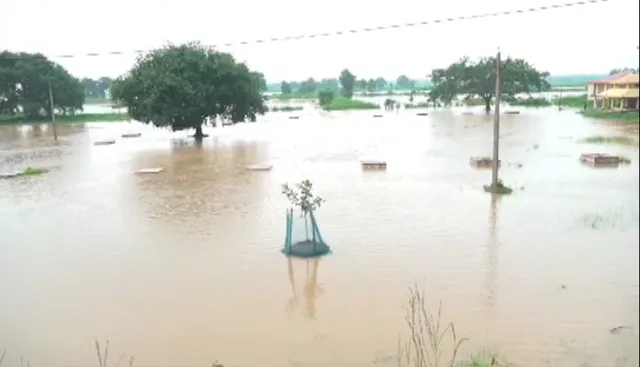 ବଢୁଛି ନଦୀର ଜଳସ୍ତର । କଣାସ ଓ ଡେଲାଙ୍ଗବାସୀଙ୍କ ମନରେ ବନ୍ୟାର ଭୟ ।